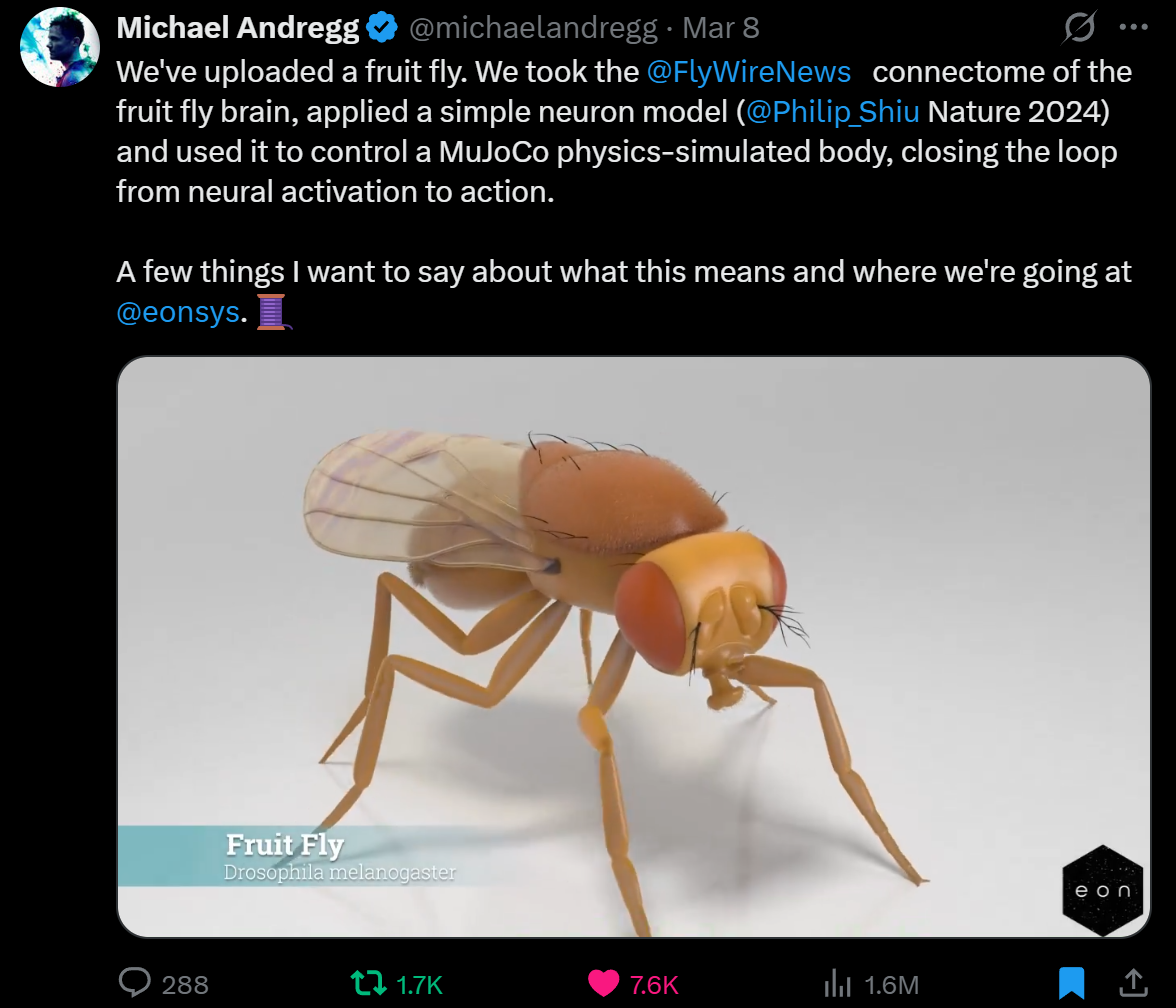 We've Uploaded a Fruit Fly